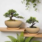 MUZHI 2 Pack Round Unglazed Ceramic Bonsai Pot with Bamboo Tray 8"+6.5", Large Rough Pottery Succulent Planter with Drainage Hole