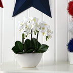 Nearly Natural Phalaenopsis Silk Flower Arrangement