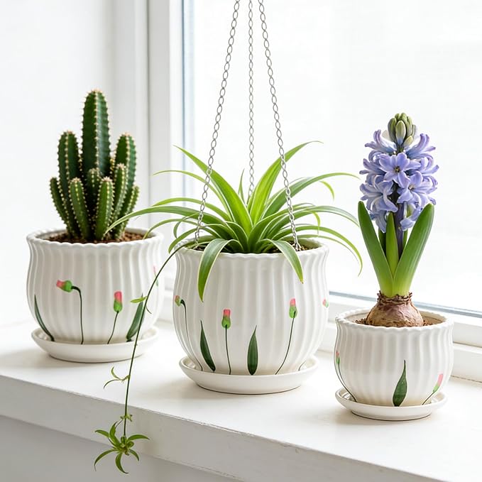 SHECIPIN Plant Pots for Indoor Plants Set of 3, 4+5.3+6.7 Inch Ceramic Plant Pots with Drainage Hole，Cute Garden Pots Succulent Pots with Saucer