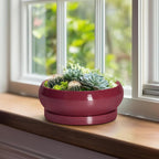 Succulent Pots - 8 Inch Bonsai Pots for Indoor Outdoor, Shallow Ceramic Planter with Drainage Hole and Saucer, Round Flower Succulent Planters, Apartment Decor, Gardening Gift, Wine Red