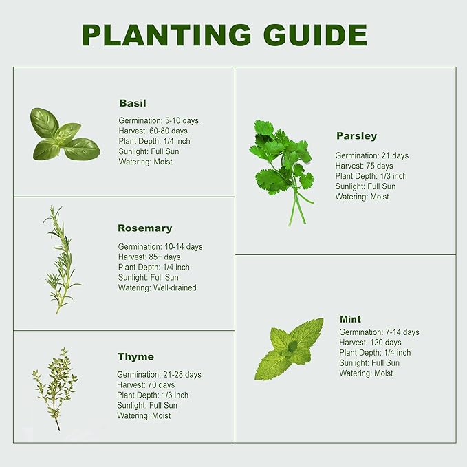 Indoor Herb Garden Starter Kit, 5 Seeds Growing into Basil, Parsley, Rosemary, Thyme, Mint, Including A Planter Box, Soil Discs & Planters with A Gift Box for Women