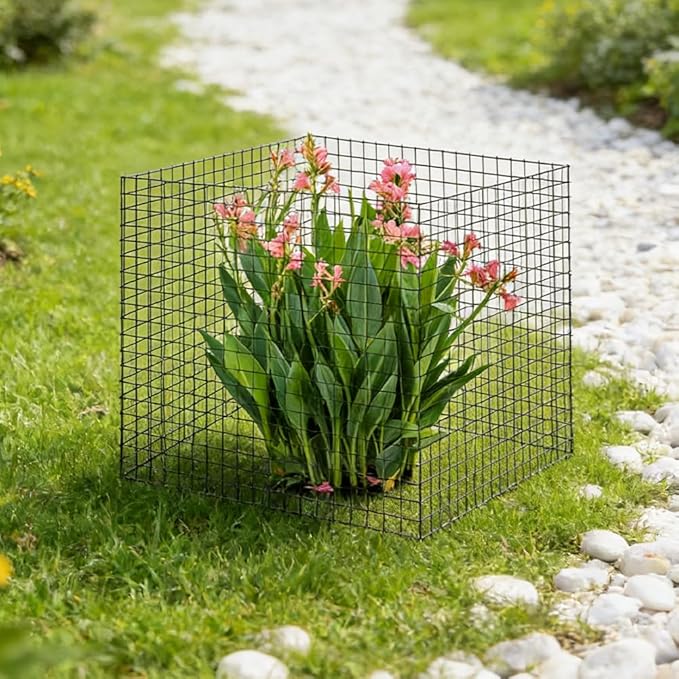5 Pack Round Plant Protector from Animals, 12'' x 12'' Metal Plant Cages, 15 PCS Metal Mesh to Keep Animals Out, Garden Protection Bunny Barricades, Wire Plants Protectors for Rabbits Chicken Duck