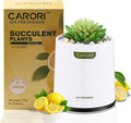 Artificial Succulent Plants with Subtle Lemon Scent, Faux Indoor Plants for Home Decor, Small Fake Plant for Bathroom, Bedroom, Office Decor, Aesthetic Room Accessories, Housewarming Gift