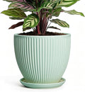 Ceramic Pots for Indoor Plants, 6 Inch Plant Pot with Drainage Hole and Saucer, Round Modern Planters, Decorative Pots for Plants, Home Living Room Decor, Gifts for Plant Lovers, Mint Green