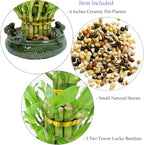 Athena’s Garden Lucky Bamboo Indoor Live Plant 3 Tier Tower Fresh Plant in Ceramic Planter (Frog)