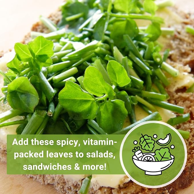 Sow Right Seeds - Watercress Seeds for Planting - Non-GMO Heirloom Packet with Instructions to Plant and Grow Home Garden - Fast-Growing Aquatic Vegetable with Edible Leaves - Fresh and Delicious