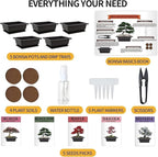 Indoor Bonsai Starter Kit - 5 Seeds Growing Complete Set with Gardening Tools for Beginners, Home DIY Mini Garden Gift for Adults