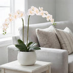 6PCS White Orchid Artificial Flowers 27’’ Fake Orchid Phalaenopsis Branches Silk Orchids for Vase Table Centerpiece Home Wedding Party Garden Decoration(Champagne)