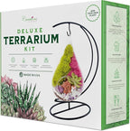 Creations by Nathalie DIY 7" DIY Teardrop Terrarium Kit - Build Your Own Glass Terrarium for Adults & Teens with Moss, Crystals, Tools & Decor - Handcrafted in the USA (Live Plant Included)