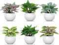 Artificial Potted Plants Set of 6, Bathroom Decor 3.94" Mini Fake Plants in Plastic Pots - Realistic Fake Greenery for Home, Office, Desk, Bathroom & Kitchen Decor,Small Plants Gift Set