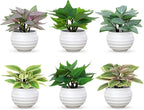 Artificial Potted Plants Set of 6, Bathroom Decor 3.94" Mini Fake Plants in Plastic Pots - Realistic Fake Greenery for Home, Office, Desk, Bathroom & Kitchen Decor,Small Plants Gift Set