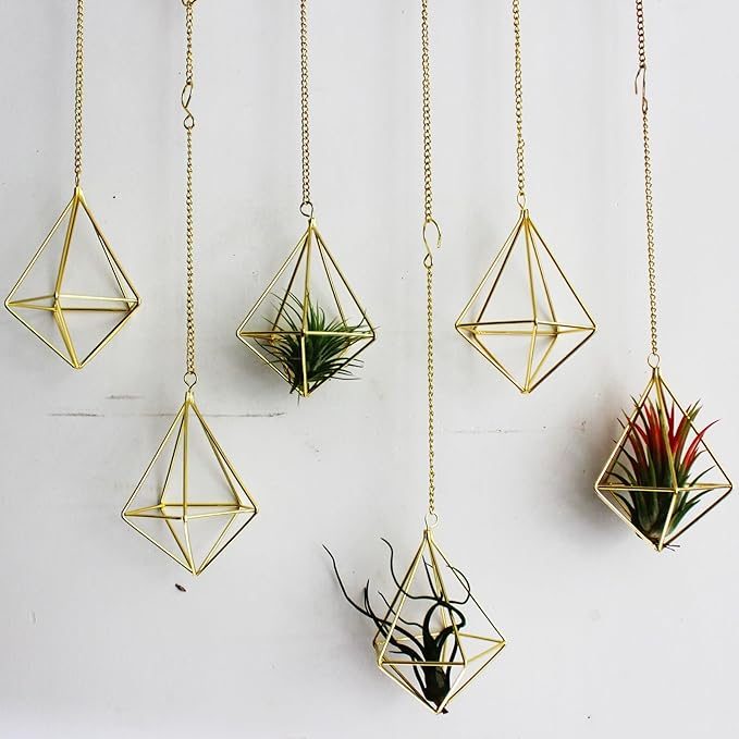 ZOOELAY Air Plants Live Holders 6 Pcs Glod Diamond Hanging Planter Small Air Plant Holders Unique with Chains Air Ferns Tillandsia Display for Indoor