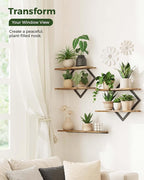 Bamworld Floating Shelves for Wall Planters for Indoor Plants Hanging Shelves Plant Holder Wall Decor Plant Stand Indoor for Plant Hangers Indoor for Living Room Bedroom Bathroom 2-Pack Brown Rhombus