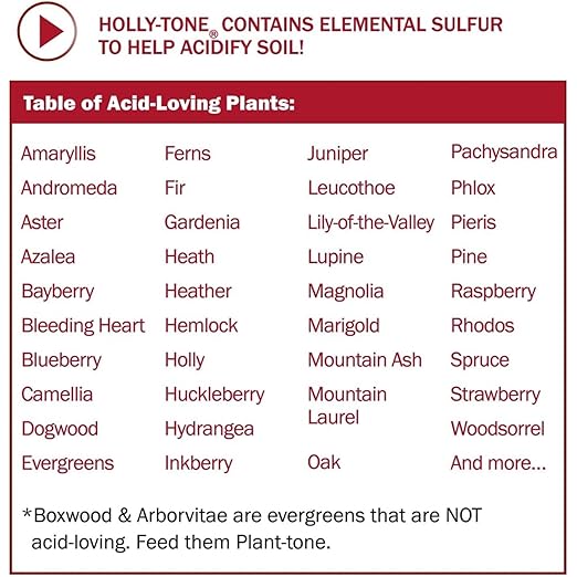 Espoma Organic Holly-Tone 4-3-4 Natural & Organic Evergreen & Azalea Plant Food; 4 lb. Bag; The Original & Best Fertilizer for All Acid Loving Plants Including Rhododendrons & Hydrangeas. Pack of 2
