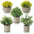 5 Pack Fake Plants, Artificial Eucalyptus & Greenery in Cement Pots - Small Potted Faux Plants for Indoor Outdoor Shelves, Desk, Table, Farmhouse Bathroom, Office & Modern Home Decor