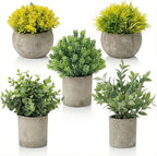 5 Pack Fake Plants, Artificial Eucalyptus & Greenery in Cement Pots - Small Potted Faux Plants for Indoor Outdoor Shelves, Desk, Table, Farmhouse Bathroom, Office & Modern Home Decor