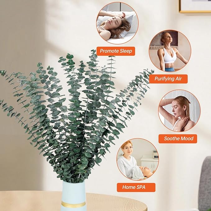 30 Pcs Dried Eucalyptus Stems for Shower, 17'' Natural Real Live Eucalyptus Leaves Branches Hanging Shower Plant for SPA Home Fragrance Bathroom Table Vase Décor
