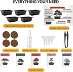 Meekear 5 Bonsai Tree Kit Complete Plant Growing Tools, Grow in Pot Indoor Bonsai Tree Starter Kit, Great Home Gardening Potted Plants DIY Gift for Adults