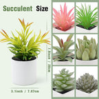 7 Pack Small Fake Plants Artificial Succulent Plants Assorted Mini Faux Succulent Decoration Greenery for Living Room Home Office Shelf