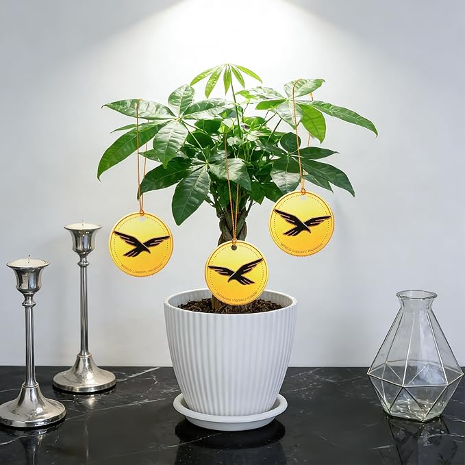 Money Tree Live Plants, Easy to Grow Indoor Houseplants in 4-Inch White Plastic Pot, with Decorative Card C