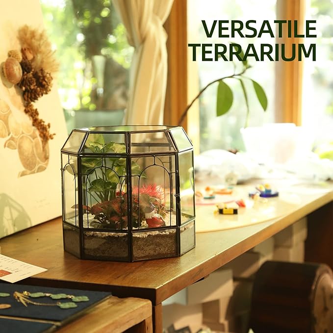 REDHUGO Large Glass Terrarium Handmade, Centerpiece Display Box Gift Planter Containers Indoor Terrariums House for Succulent Cacti Air Plants Miniature Fairy Garden