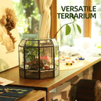 REDHUGO Large Glass Terrarium Handmade, Centerpiece Display Box Gift Planter Containers Indoor Terrariums House for Succulent Cacti Air Plants Miniature Fairy Garden