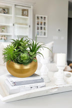 Hollyone Fake Plants Artificial Succulents in Pots Faux Succulent Arrangement Potted Plant in Gold Ceramic Planter Bowl for Home Decor Office Desk Bathroom Shelf Living Room Indoor Decorations