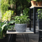 SQOWL 8 inch Plant pots Indoor - Ceramic Planter with Drainage Hole and Plant Saucer, Decorative Ceramic Flower Pot Outdoor, Modern Round Planter, Patio Porch Garden Decor, Garden Gifts, Gray