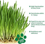 Groundio Cat Grass Seeds 8oz, Non-GMO Wheat Cat Grass Seeeds & Oat Seeds Mix, High Germination Cat Grass Seeds Grown in USA for Indoor Cats