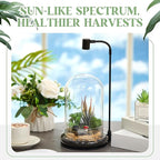 Maxdot Plant Terrarium Kit with Grow Light, 4.8'' x 7.87'' Glass Dome Terrarium with Air Hole and Base, Succulent Air Planter Fern Moss Micro Landscape Vase for Home Office Tabletop Decoration