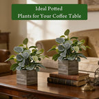 2 Pack 12" Medium Eucalyptus Fake Plants, Artificial Plants Indoor with 4 Inch Wooden Planters, Faux Potted Silk Plants for Home Decor, Desk, Shelves, Desktop, Coffee Table, Bedroom