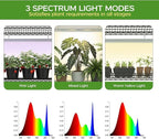 Indoor Greenhouse with 6 Pack 3-Color Grow Light, 36" Wx 14" D x 63" H with 600D Oxford Cloth Cover, 4-Tier Enclosed Plant Stand for Year-Round Indoor Gardening, Timer Plug & Hygrometer