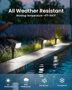 SOLPEX Solar Lights Outdoor Waterproof IP65, Landscape Spotlights Outdoor, Compact Design Spot Lights, Solar Powered Flood Lights for Garden Yard House Pathway Tree Outside, 10 Pack, Cool White