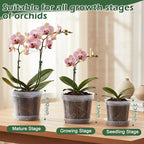 LUCKJUJU 12 Sets Orchid Pot with Holes, 4, 5, 6 Inch Clear Plastic Plant Pot with Saucers, Plant Stakes, Clips, Orchid Pots with Drainage for Repotting for Indoor Outdoor Plants