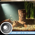 5 Pcs Aquarium Floating Plant Corral - 5 Sizes of Floating Plant Ring, Fish Feeding Ring (Black)