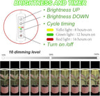 Plant Grow Light,Yadoker LED Growing Light Full Spectrum for Indoor Plants,Height Adjustable, Automatic Timer, 5V Low Safe Voltage,Idea for Small Plant Light…