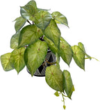AlphaAcc Faux Plant Decor Potted Artificial Small Greenery Ivy Leaves Plants with Black and White Geometry Patterns Cement Pot for Office Desk Home Kitchen Decoration (Ivy Leaf)