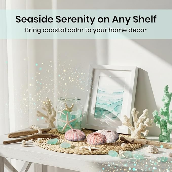 Nautical Crush Trading Sea Urchins Shells for Air Plants - 10 Pink (1-2") Sea Urchin Shells - Hanging Air Plant Holder - Air Plants Live Holders - No Plants Included