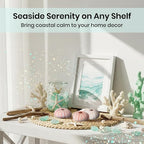 Nautical Crush Trading Sea Urchins Shells for Air Plants - 10 Pink (1-2") Sea Urchin Shells - Hanging Air Plant Holder - Air Plants Live Holders - No Plants Included