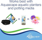 Aquascape Once-A-Year Pond Plant Fertilizer, Granular Formula, 2 lb (907 g), Supports Strong Aquatic Plant Growth, 89013