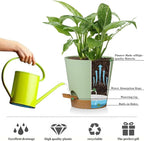 5 Pack 5 inch Self-Watering Pots, African Violets Planter with Drainage Holes and Reservoir, Green Brown Plastic Planter for Indoor Outdoor Plants Flowers and Houseplants Green Brown, 5 inch 5 pcs
