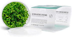 Ultum Nature Systems Lobelia Cardinalis ‘Cardinal’ Tissue Culture Live Plant for Aquarium, Freshwater Fish Tank, Aquascaping - 100% Snail Free in Vitro