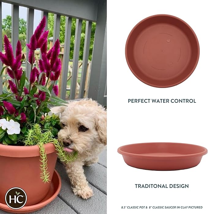 The HC Companies Flower Pot Saucers - Plastic Plant Saucer for Outdoors & Indoors - Traditional Design Plant Pot Trays for Water Drainage - Durable & Stylish Round Plant Tray (10-inch Clay)