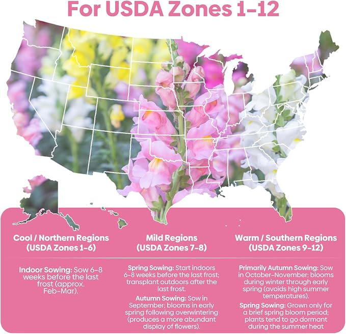 Groundio 1500+ Tetra Mix Snapdragon Seeds for USDA 1-12 Planting, 18-24’’ Tall Snap Dragon Mix, Annual Wildflower Seeds, Ideal for Garden, Containers (Antirrhinum Majus)