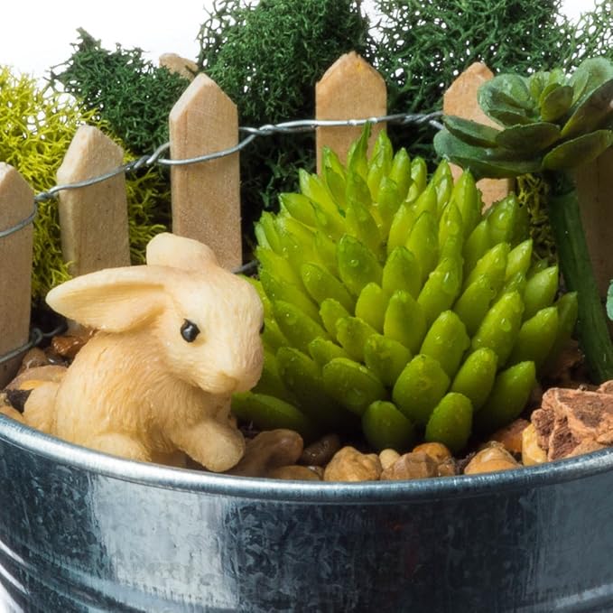 DIY Terrarium and Succulent Planter Kit | Includes Organic Soil Mix, Hoffman Charcoal, Orchid Bark, Decorative Gravel and Reindeer Moss (Small DIY Soil Kit)| Plus Free Nautical Ebook by Joseph Rains