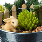DIY Terrarium and Succulent Planter Kit | Includes Organic Soil Mix, Hoffman Charcoal, Orchid Bark, Decorative Gravel and Reindeer Moss (Small DIY Soil Kit)| Plus Free Nautical Ebook by Joseph Rains