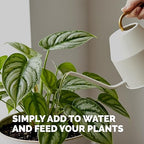 Tropical Plant Fertilizer – Liquid Plant Food for Bigger Leaves, Lush Growth & Stronger Roots, 8 oz