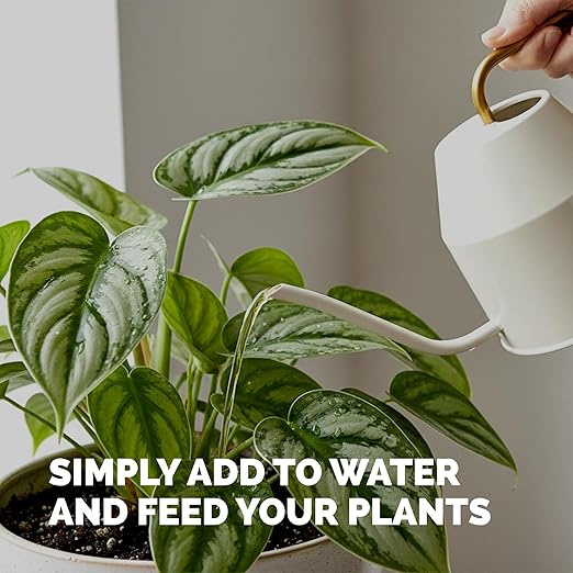 Tropical Plant Fertilizer – Liquid Plant Food for Bigger Leaves, Lush Growth & Stronger Roots, 8 oz