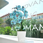 15 Inches Tall Artificial Silk Phalaenopsis Orchid Flower Plant Pot Teal Arrangements (Golden Blue)