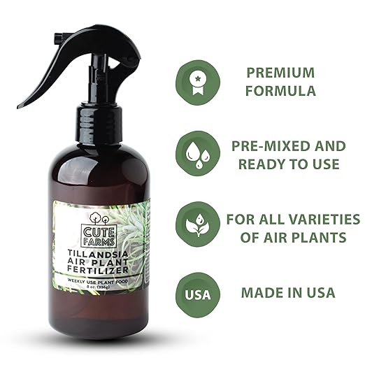 Cute Farms Tillandsia Air Plant Fertilizer | Gentle Weekly Use Formula Plant Food | Formulated Nutrients for Air Plants (8 oz. Spray Bottle)